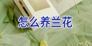 怎么养兰花