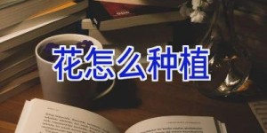 花怎么种植