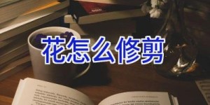 花怎么修剪