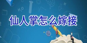 仙人掌怎么嫁接