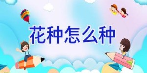 花种怎么种