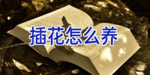 插花怎么养