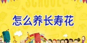 怎么养长寿花