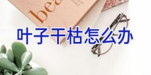 叶子干枯怎么办