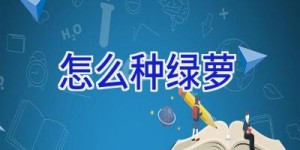 怎么种绿萝