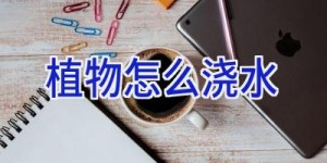 植物怎么浇水