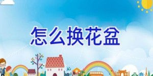怎么换花盆