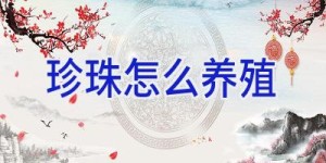 珍珠怎么养殖