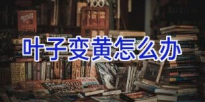 叶子变黄怎么办