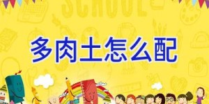 多肉土怎么配