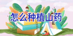 怎么种植山药
