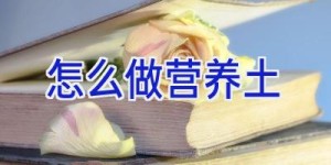 怎么做营养土