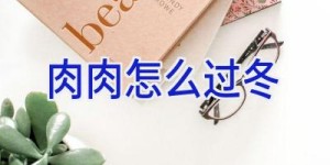 肉肉怎么过冬