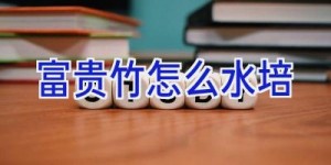 富贵竹怎么水培