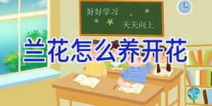 兰花怎么养开花