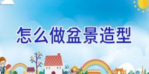 怎么做盆景造型