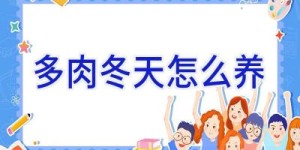 多肉冬天怎么养