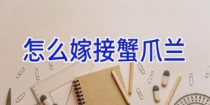 怎么嫁接蟹爪兰