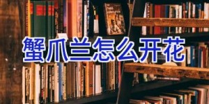 蟹爪兰怎么开花