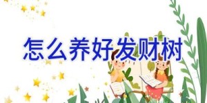 怎么养好发财树
