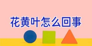 花黄叶怎么回事