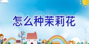 怎么种茉莉花