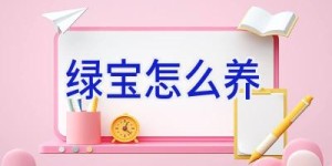 绿宝怎么养