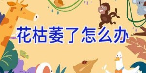 花枯萎了怎么办