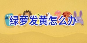 绿萝发黄怎么办