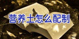 营养土怎么配制