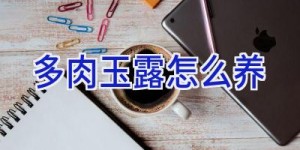 多肉玉露怎么养