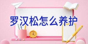 罗汉松怎么养护