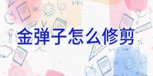 金弹子怎么修剪