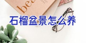 石榴盆景怎么养