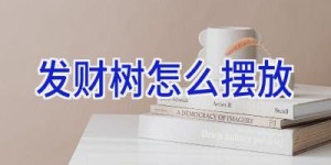 发财树怎么摆放