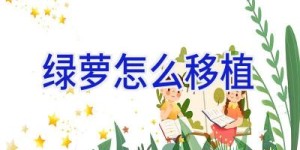 绿萝怎么移植