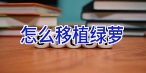 怎么移植绿萝