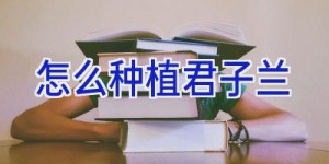 怎么种植君子兰