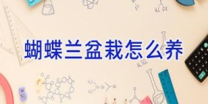 蝴蝶兰盆栽怎么养