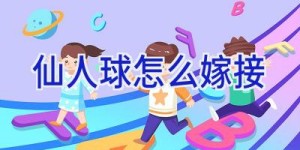 仙人球怎么嫁接