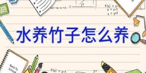 水养竹子怎么养