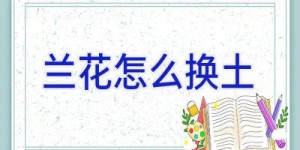 兰花怎么换土