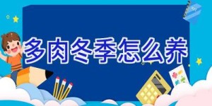 多肉冬季怎么养