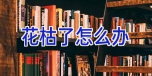 花枯了怎么办