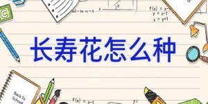 长寿花怎么种