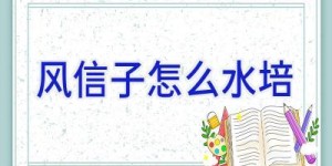 风信子怎么水培