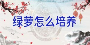 绿萝怎么培养