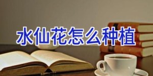 水仙花怎么种植