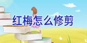 红梅怎么修剪