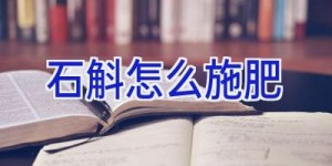 石斛怎么施肥